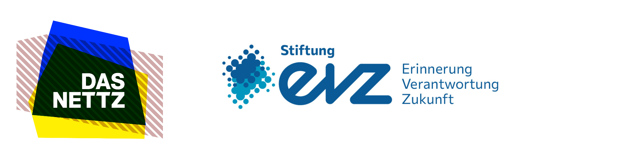 Logo Das NETTZ und EVZ